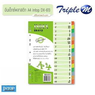 อินเด็กซ์พลาสติก A4 16 หยัก Intop DX-613