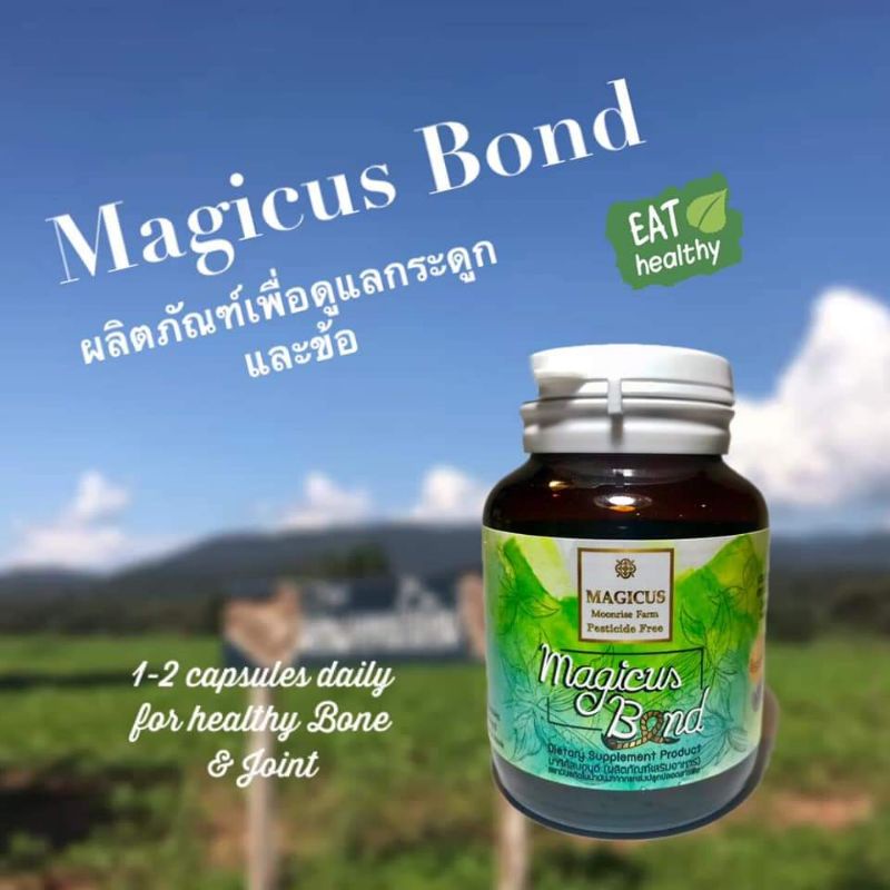 Magicus bond (มาจิคัส บอนด์)  น้ำมันงาสกัดเย็น🔹 อุดมด้วยแร่ธาตุ และสารสำคัญในเรื่องกระดูกและข้อ🔹น้ำม