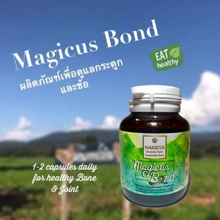 Magicus bond (มาจิคัส บอนด์) น้ำมันงาสกัดเย็น 🔹อุดมด้วยแร่ธาติ และสารสำคัญในเรื่องกระดูกและข้อ🔹น้ำมันงาปลอดสารพิษ
