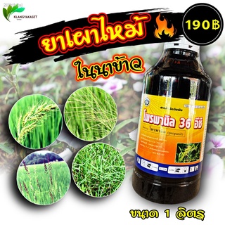 โพรพานิล 36% 1 ลิตร 💥 ใช้กำจัดวัชพืช เช่นหญ้าข้าวนก, หญ้านกสีชมพู, หนวดปลาดุก, กกขนาก, หญ้าทรงกระเทียม, ผักแว่น วัชพืชใ