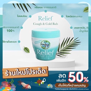 วิคอินเดีย amrutanjan relief