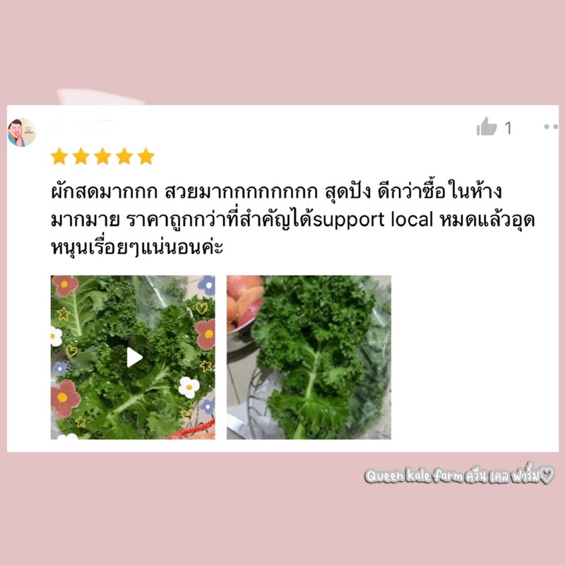 🌈ผักเคลใบหยิกเขียว 500 กรัม ตัดสดตามออเดอร์จากฟาร์ม - รูปที่ 7