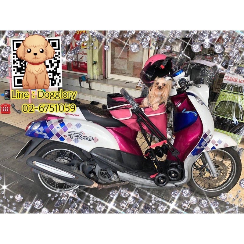 Ibiyaya : รถเข็นหมา รถเข็นสุนัข รถเข็นแมว รุ่น Astro Mini Pet Buggy