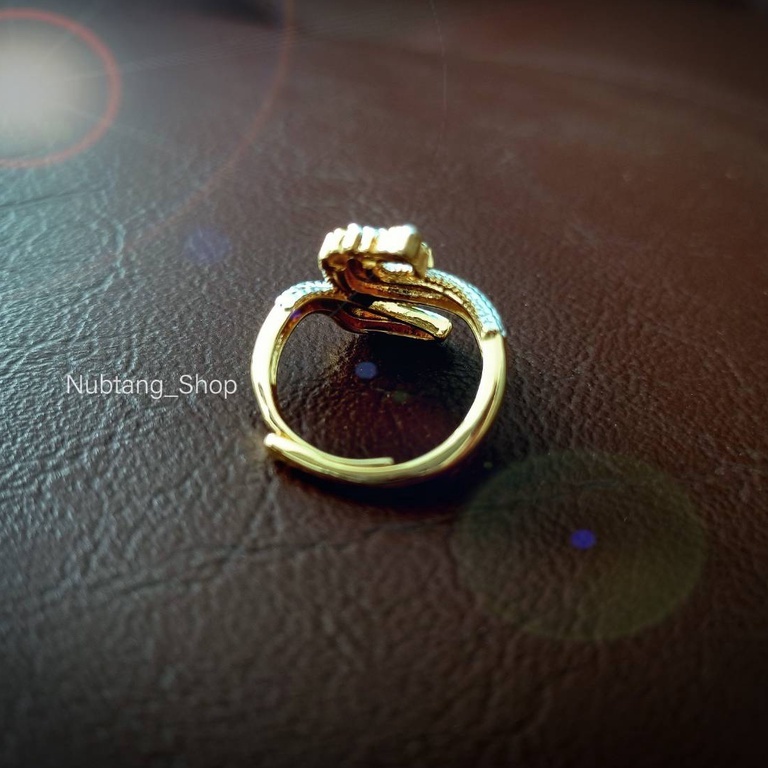 แหวนพญานาค เรียกทรัพย์ แหวนฟรีไซส์ ปรับขนาดได้ ใส่เสริมดวง เสริมราศี #181