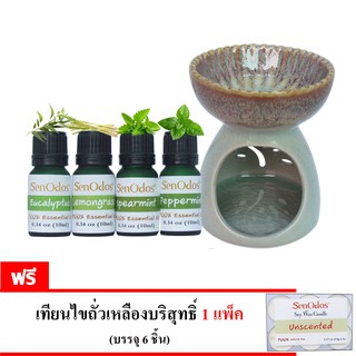 เตาเผา+น้ำมันหอมระเหยแท้ Minty Set