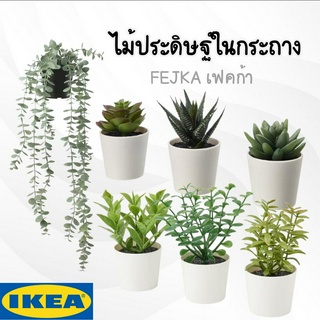 ไม้ประดิษฐ์ในกระถาง FEJKA เฟคก้า IKEA