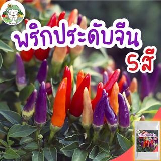 เมล็ดพันธุ์ พริกประดับจีน 5 สี  Chinese Ornamental 5 Color Pepper เมล็ดพันธุ์แท้ นำเข้าจากต่างประเทศ ปลูกผัก พริก ขายดี