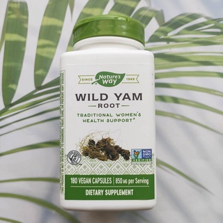 Wild Yam Root 425mg 180 Vegetarian Capsules (Natures Way®) ช่วยฟื้นฟูผิวให้เนียนกระชับ กักเก็บความชุ่มชื้นให้แก่ผิว