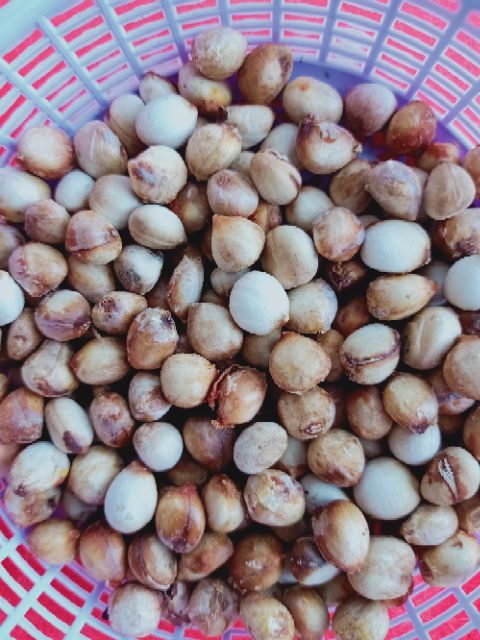 มะหาด(50เมล็ด/ซอง/89บาท)