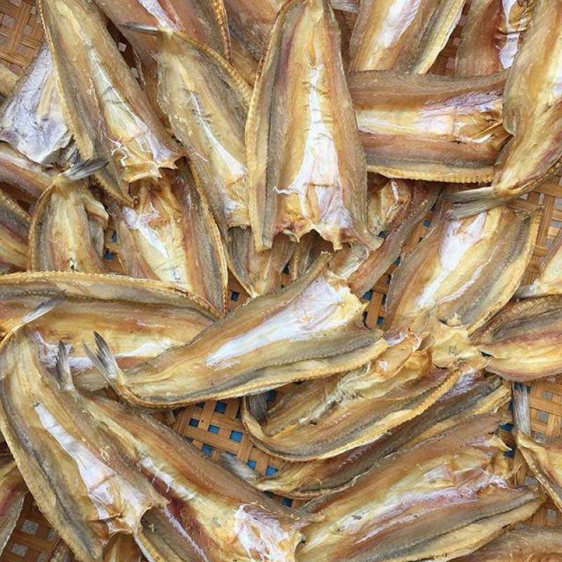 ปลาช่อนทะเล ตากแห้ง (ไซส์เล็ก) (1 กิโลกรัม) ปลาช่อนทะเลแห้ง ปลาช่อนทะเล ราคา ขายปลาช่อนทะเล ขายปลาช่อนทะเลแห้ง ขายส่ง