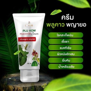 ครีมพลูคาว พญายอ Plu Kow Phayayor Cream สมุนไพรแก้ กลาก เกลื้อน สะเก็ดเงิน (By. Asta prim แอสต้า พริม)​.