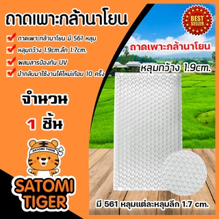 ถาดเพาะกล้านาโยน 561 หลุม  ถาดนาโยน เพาะกล้าข้าว ถาดเพาะนาโยน ถาดเพาะต้นข้าว ถาดเพาะกล้า