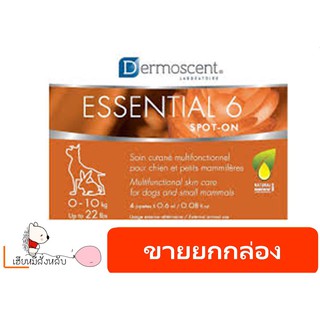 Dermoscent Essential 6 Dog spot-on สำหรับบำรุงผิวในหมา 1 กล่อง บรรจุ 4 หลอด