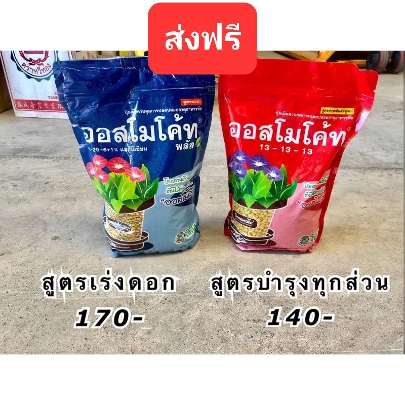 🔥ส่งฟรี🔥 ออสโมโค้ท สูตร 13-13-13ออสโมโค้ท-พลัส 12-25-6+1%แมกนีเซียม สูตรเร่งดอก 🎋ปุ๋ยละลายช้า ปุ๋ยแคคตัส ปุ๋ยกล้วยไม้
