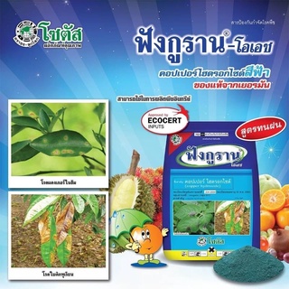 ฟังกูราน 100กรัม-โอเอช คอปเปอร์ฟ้า ป้องกันกำจัดโรคพืชที่เกิดจากเชื้อราและแบคทีเรีย สูตรทนฝน