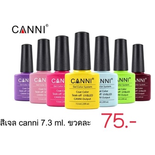 สีเจล canni แคนนิ (เบอร์105-157)