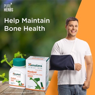 Himalaya  Hadjod  บำรุงกระดูก ขนาด 60 เม็ด