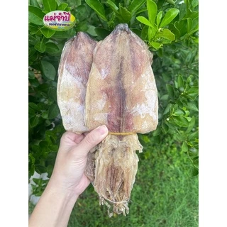 ปลาหมึกแห้ง ผ่า 5 นิ้ว ไม่เค็มสด สะอาด ปลอดสารฟอร์มาลีน #อาหารทะเล #อาหารทะเลเเห้ง #หมึกแห้ง #หมึกผ่า #ปลาหมึกบด #หมึกบด