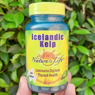 สาหร่ายทะเลไอซ์แลนด์ Icelandic Kelp 250 Tablets (Natures Life®) เสริมไอโอดิน เร่งเผาผลาญอาหาร ล้างพิษ ลดน้ำหนัก บำรุงร่