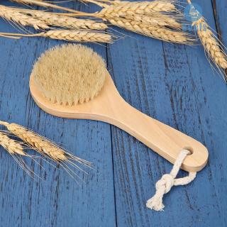 ☻Noel☻Soft Natural Bristle Wood Oval Body Bath Brush SPA Shower Massage Scrubber