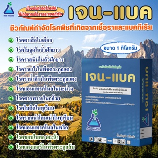 บาซิลลัส  ซับทิลิส (เจนแบค) ขนาด 1 กก. สายพันธุ์ บีเอ็ม-01 ทีเอบี Bacillus subtilis # BM-01 # 1 kg by TAB