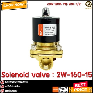 Solenoid Valve BK 2W-160-15,220V**TH