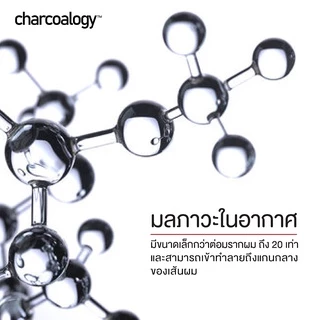 ชาร์โคโลจีแชมพูถ่านไม้ไผ่ สูตรดีท็อกซ์ ล้างสารตกค้าง Charcaology Urban-Defense Micellar Shampoo