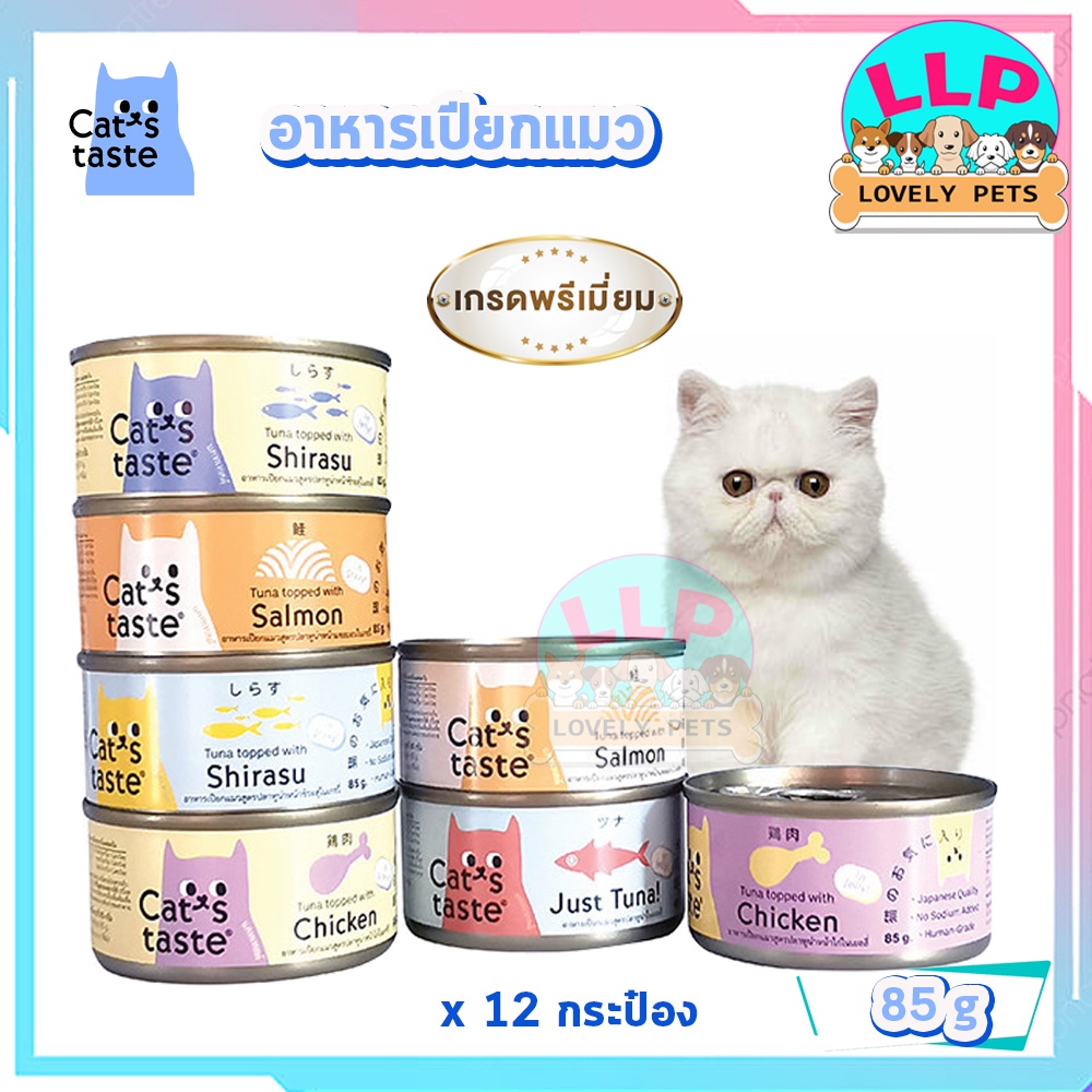 Cat's Taste อาหารเปียกแมวกระป๋อง ไม่เติมเกลือ เเบบเยลลี่เกรวี่ ขนาด 85 กรัม*12กระป๋อง