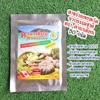 สาหร่ายสกัดชนิดผง 50กรัม กระตุ้นการเปิดตาดอก ฟื้นฟูสภาพต้น เพิ่มผลผลิตและคุณภาพจากแคนนาดา