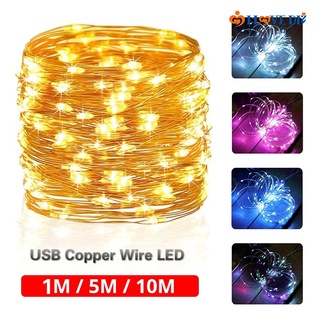 1M 5M 10M Led Fairy Lights/ USB Powered Silver Wire Starry Fairy Lights/ Waterproof Night Light Perfect For Bedroom,Christmas,Ramadan,New Year,Parties,Wedding,Birthday,Kids Room,Patio,Window