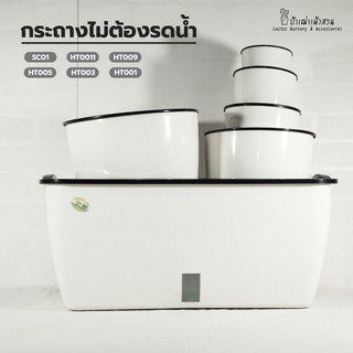 กระถางต้นไม้ประหยัดน้ำ รดน้ำอัตโนมัติ เติมน้ำครั้งเดียวอยู่ได้นาน ไม่ต้องรดน้ำบ่อย