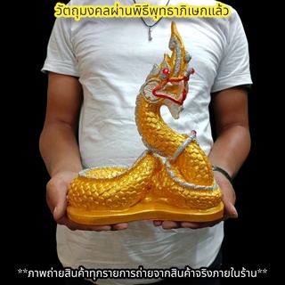 พญานาคราช ตระกูลสีทอง 25ซม.นาคาภิเษกที่วัดป่าศรีสุทโธคําชะโนด สามารถวางอ่างบัวได้ วางบนหิ้งบูชาก็เป็นสิริมงคลมาก F