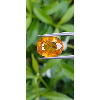 พลอย บุษราคัม (Yellow Sapphire) 5.42 กะรัต (Cts.) เผา be