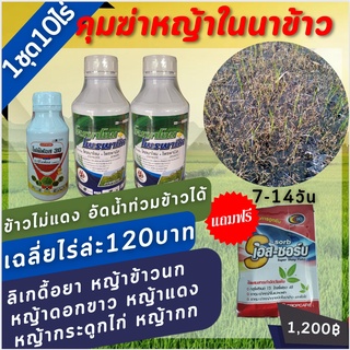 คุมฆ่าหญ้าในนาข้าว 💥เฉลี่ยไร่ละ120บาทเท่านั้น❗ชุดคุมฆ่า7-14วันชุดนี้เลยคะ ลิเกดื้อยาแถมฟรีเอสซอร์บจับใบ1ซอง