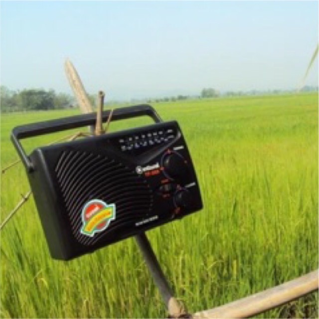 รูปภาพ 7