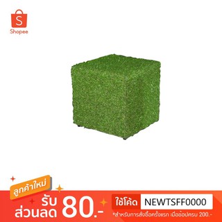 TSF สตูล GRASS 40 X 40 X 40.