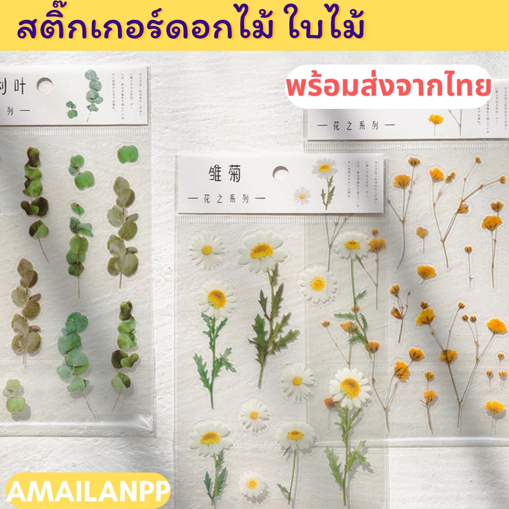 [ส่งด่วน1-2วัน] สติ๊กเกอร์ใบไม้ ดอกไม้ สติ๊กเกอร์ไดคัท สติกเกอร์เกาหลี สติกเกอร์ตกแต่ง เคส โน๊ตบุ๊ค ดอกไม้ปลอม ดอกเดซี่
