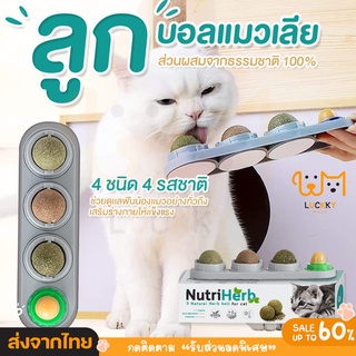 🔥 สินค้าขายดี 🔥 แคทนิปบอล Catnip Ball กัญชาแมว ขนมแมว ของเล่นแมวเลีย แปะกำแพง ball herb