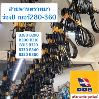 สายพานตราหมา ร่องB เบอร์280-360 / B280, B290, B300, B310, B315, B320, B330, B340, B350, B360