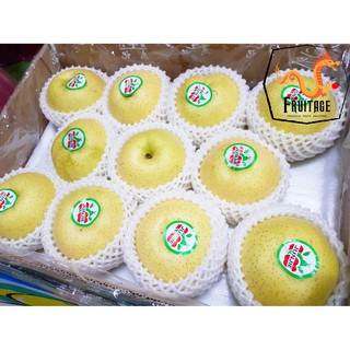 สาลี่ทอง (1ลูก) (CHN) ~ลดพิเศษ~ Premium Chinese Pears หอม หวาน อร่อย ! ผลไม้ต่างประเทศ ผลไม้พรีเมี่ยม ผลไม้เดลิเวอรี่