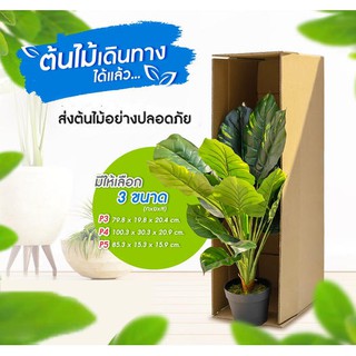 กล่องแพ็คต้นไม้ แพ็ค 10 ใบ หนา3ชั้น มีให้เลือก 3 ขนาด P3,P4,P7