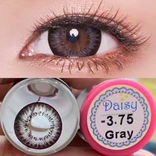 คอนแทคเลนส์ Wink Lens Daisy ค่าสายตา 0.00 ถึง -5.00