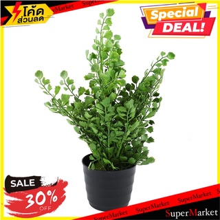 ต้นไม้ประดิษฐ์ใบเขียว SPRING TYP-01A ต้นไม้ประดิษฐ์ ARTIFICIAL PLANT SPRING TYP-01A อุปกรณ์ตกแต่งสวน