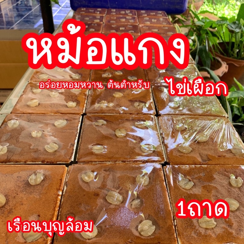 ขนมหม้อแกงไข่เผือก ถาดใหญ่ ของแท้เพชรบุรี(1ถาด)