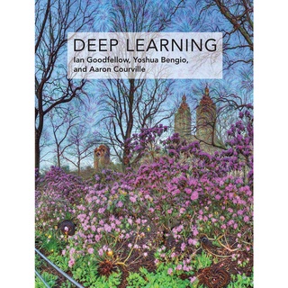 Deep Learning (Adaptive Computation and Machine Learning)
