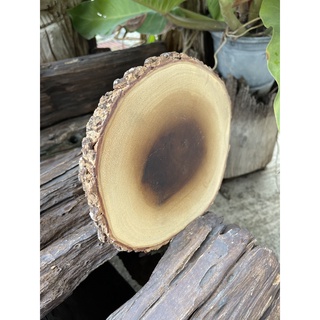 เขียงไม้ จานไม้มะม่วง ถาดไม้ เขียงติดเปลือกไม้  ธรรมชาติ ของ…