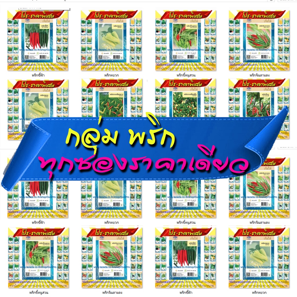กลุ่ม พริก เมล็ดพันธุ์ผัก เจียไต๋ ผักซอง [กดเพิ่มไปยังรถเข็น จะมีรายการสินค้าให้เลือก]