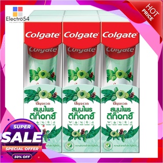 คอลเกต ยาสีฟัน ปัญจเวท สมุนไพร ดีท็อกซ์ 60 กรัม x 6 กล่อง ผลิตภัณฑ์ดูแลช่องปากและฟัน Colgate Toothpaste Panjaved Herbal