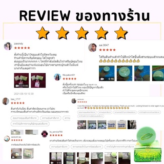 ▼(มีวิธีดูของแท้!!) ครีมเหมยหยง อาร์เอ จ.ยโสธร RA Meyyong Seaweed สมุนไพรสาหร่าย  เหมยหยง | ตลับเขียว 5 g X 1 ชิ้น