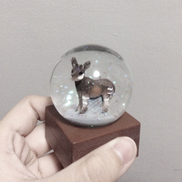 snow globe (okapi)